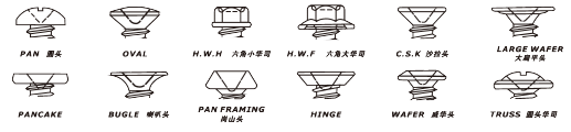 Pictorial Representations of Screw Types (2)