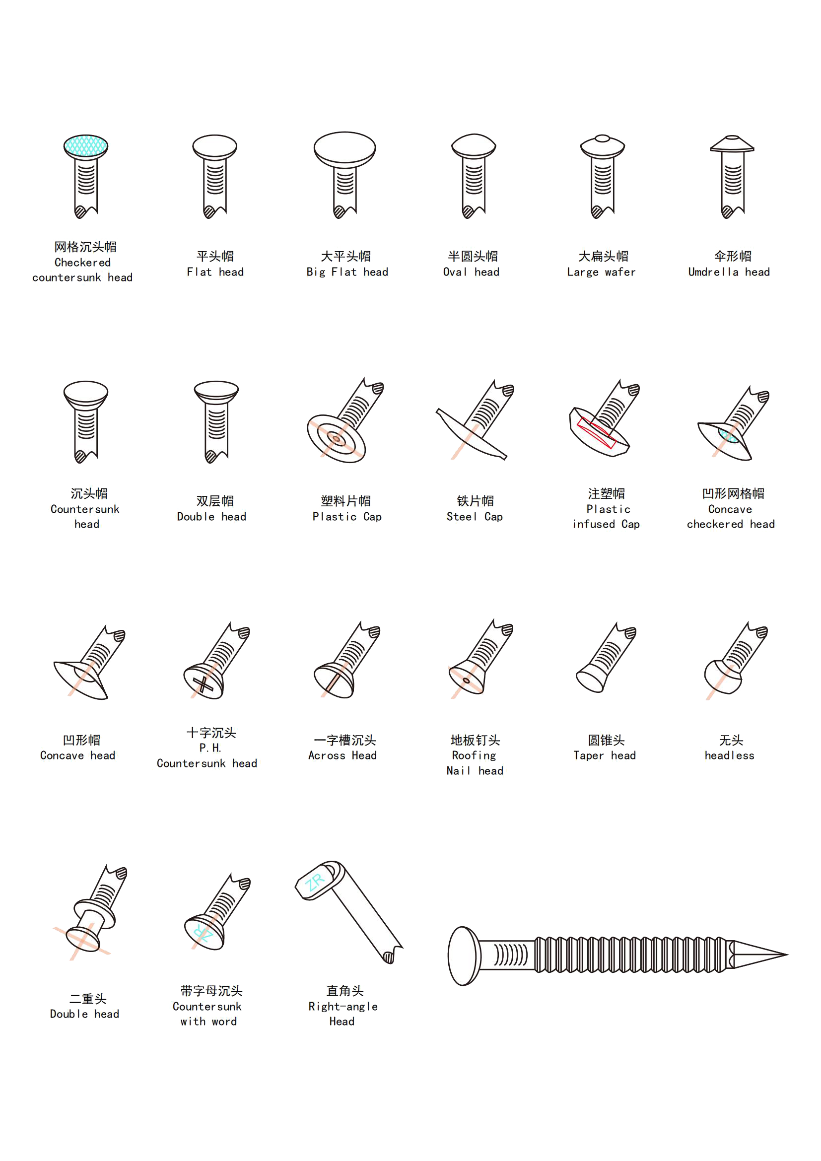 Type and Shape of Nails Head (2)